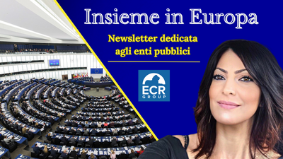 Insieme in Europa Novembre: Newsletter dedicata agli enti pubblici