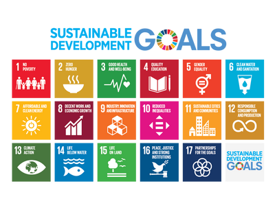 Attuazione e realizzazione degli obiettivi di sviluppo sostenibile (SDGs) - 2023/2010(INI)