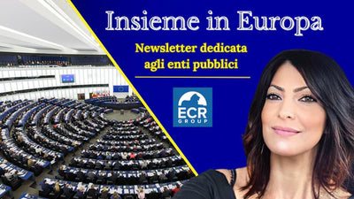 INSIEME IN EUROPA FEBBRAIO: NEWSLETTER DEDICATA AGLI ENTI PUBBLICI